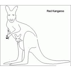 Coloring page: Kangaroo (Animals) #9123 - Free Printable Coloring Pages