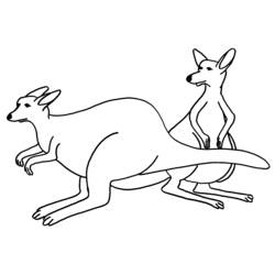 Coloring page: Kangaroo (Animals) #9136 - Free Printable Coloring Pages