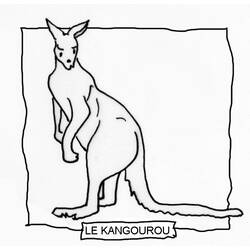 Coloring page: Kangaroo (Animals) #9153 - Free Printable Coloring Pages