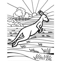 Coloring page: Kangaroo (Animals) #9161 - Printable coloring pages