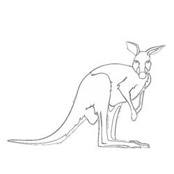Coloring page: Kangaroo (Animals) #9171 - Free Printable Coloring Pages