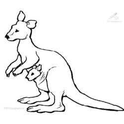 Coloring page: Kangaroo (Animals) #9172 - Printable coloring pages