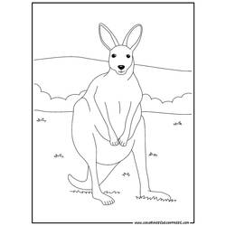 Coloring page: Kangaroo (Animals) #9180 - Free Printable Coloring Pages