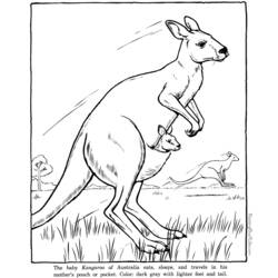 Coloring page: Kangaroo (Animals) #9183 - Printable coloring pages