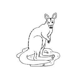Coloring page: Kangaroo (Animals) #9184 - Free Printable Coloring Pages