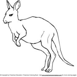 Coloring page: Kangaroo (Animals) #9193 - Printable coloring pages