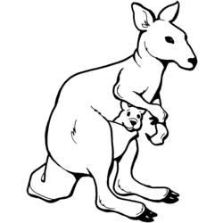 Coloring page: Kangaroo (Animals) #9195 - Printable coloring pages