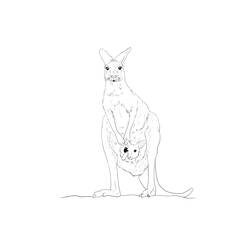 Coloring page: Kangaroo (Animals) #9228 - Free Printable Coloring Pages