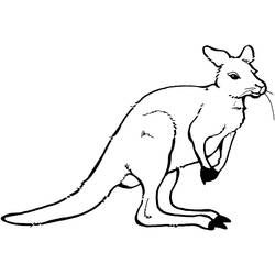 Coloring page: Kangaroo (Animals) #9249 - Printable coloring pages