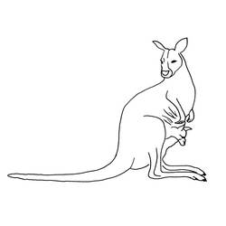 Coloring page: Kangaroo (Animals) #9250 - Printable coloring pages