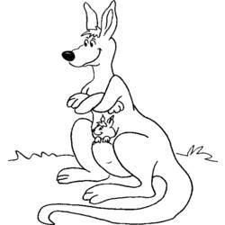 Coloring page: Kangaroo (Animals) #9269 - Free Printable Coloring Pages