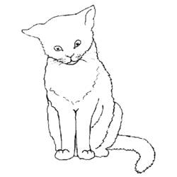 Coloring page: Kitten (Animals) #18043 - Free Printable Coloring Pages