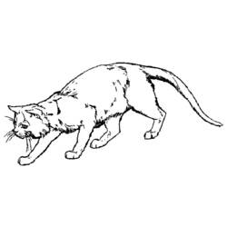 Coloring page: Kitten (Animals) #18059 - Free Printable Coloring Pages