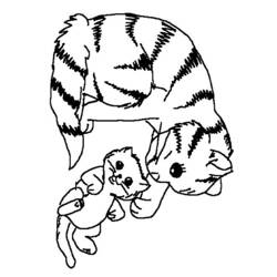 Coloring page: Kitten (Animals) #18065 - Printable coloring pages