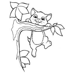 Coloring page: Kitten (Animals) #18076 - Printable coloring pages