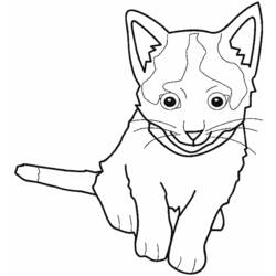 Coloring page: Kitten (Animals) #18081 - Free Printable Coloring Pages