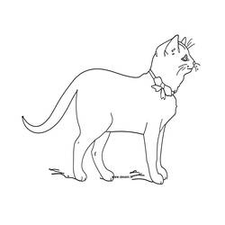 Coloring page: Kitten (Animals) #18084 - Free Printable Coloring Pages