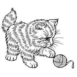 Coloring pages: Kitten - Printable coloring pages