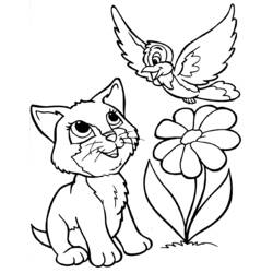 Coloring page: Kitten (Animals) #18087 - Free Printable Coloring Pages