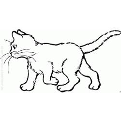 Coloring page: Kitten (Animals) #18112 - Free Printable Coloring Pages