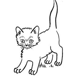 Coloring page: Kitten (Animals) #18123 - Free Printable Coloring Pages