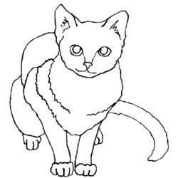 Coloring page: Kitten (Animals) #18143 - Free Printable Coloring Pages