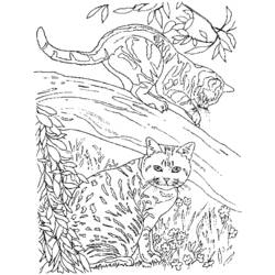 Coloring page: Kitten (Animals) #18146 - Free Printable Coloring Pages