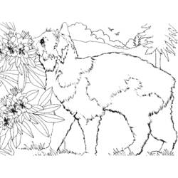 Coloring page: Kitten (Animals) #18157 - Free Printable Coloring Pages