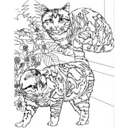 Coloring page: Kitten (Animals) #18180 - Free Printable Coloring Pages