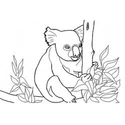 Koala (Animals) coloring page #178760 to print and color