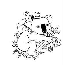 Coloring page: Koala (Animals) #9302 - Printable coloring pages