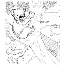 Coloring page: Koala (Animals) #9307 - Free Printable Coloring Pages