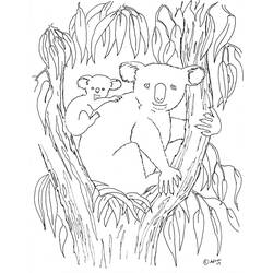 Coloring page: Koala (Animals) #9310 - Free Printable Coloring Pages