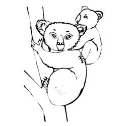 Coloring page: Koala (Animals) #9324 - Free Printable Coloring Pages