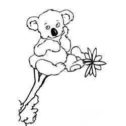 Coloring page: Koala (Animals) #9325 - Free Printable Coloring Pages