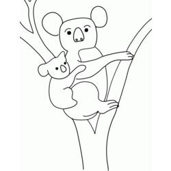 Coloring page: Koala (Animals) #9326 - Free Printable Coloring Pages