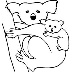 Coloring page: Koala (Animals) #9334 - Free Printable Coloring Pages