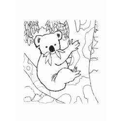 Coloring page: Koala (Animals) #9337 - Free Printable Coloring Pages