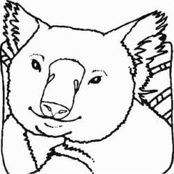 Coloring page: Koala (Animals) #9340 - Free Printable Coloring Pages