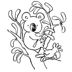 Coloring page: Koala (Animals) #9341 - Free Printable Coloring Pages