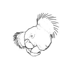 Coloring page: Koala (Animals) #9343 - Free Printable Coloring Pages
