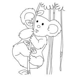 Coloring page: Koala (Animals) #9345 - Free Printable Coloring Pages