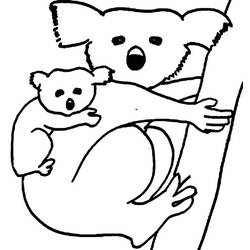 Coloring page: Koala (Animals) #9369 - Free Printable Coloring Pages
