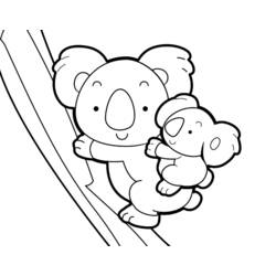 Coloring page: Koala (Animals) #9376 - Printable coloring pages