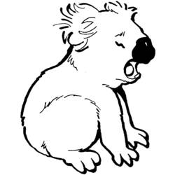 Coloring page: Koala (Animals) #9381 - Free Printable Coloring Pages