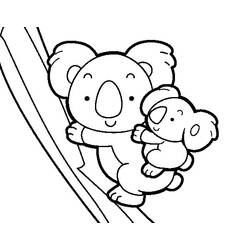 Coloring page: Koala (Animals) #9402 - Printable coloring pages