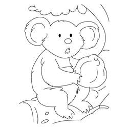 Coloring page: Koala (Animals) #9411 - Free Printable Coloring Pages