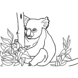 Coloring page: Koala (Animals) #9456 - Free Printable Coloring Pages