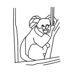 Coloring page: Koala (Animals) #9457 - Free Printable Coloring Pages