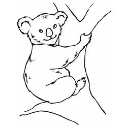 Coloring page: Koala (Animals) #9462 - Printable coloring pages